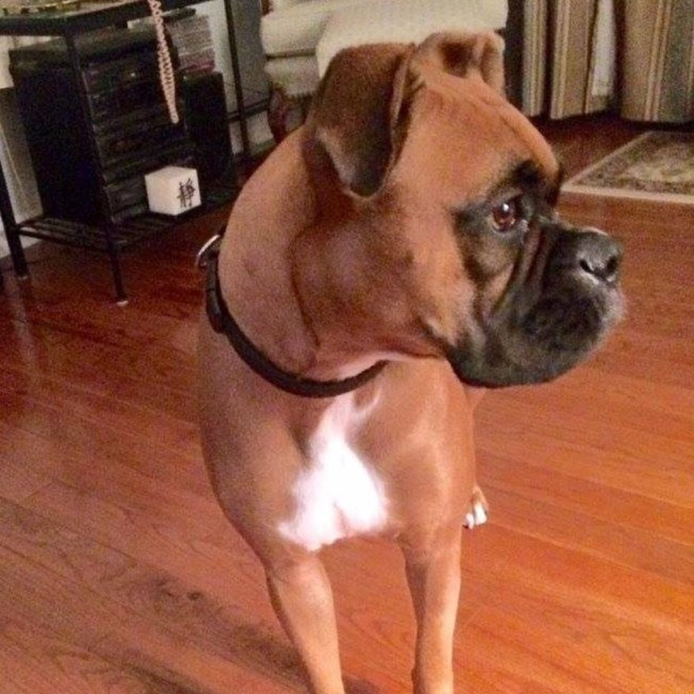 Meet your Posher, Gail